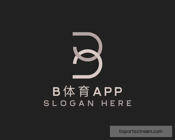 说明B体育APP